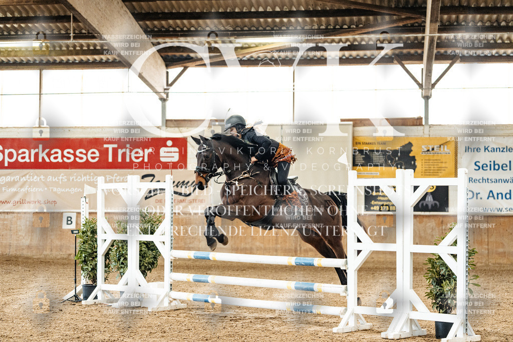 CK905519 | Turnierfotografie Pferdefotografie Trier Rheinland-Pfalz Pferdesport Reitsport Tierfotografie Sportfotografie Pferdevideo Pferdevideografie Equestrianvideography equestrianphotography  - Realized with Pictrs.com