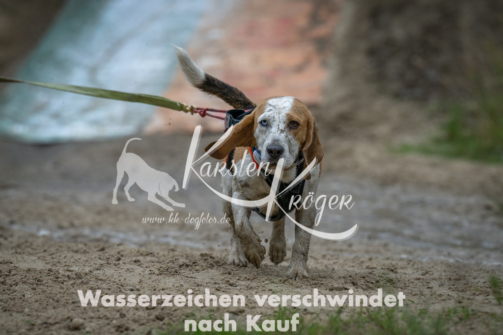 1605_ZZ90282-Bearbeitet | kk-dogfotos