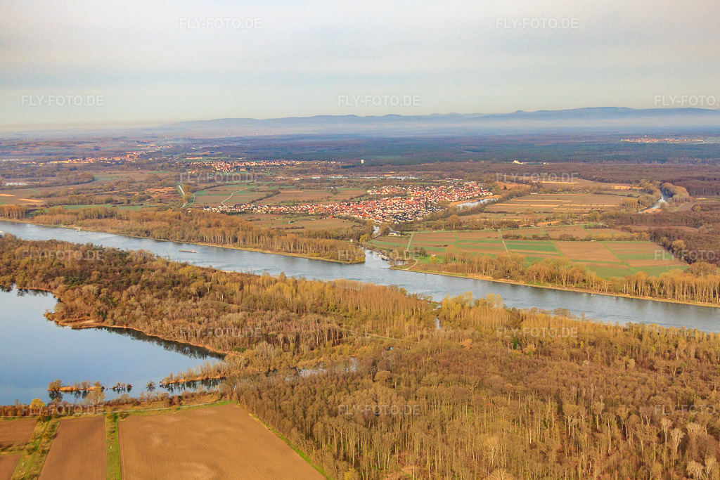 Luftbild: Lautermündung in Neuburg am Rhein im Bundesland Rheinland-Pfalz in Deutschland. Foto: IMG_25498.jpg vom 02.04.2010 durch Werner Riehm/FLY-FOTO.de