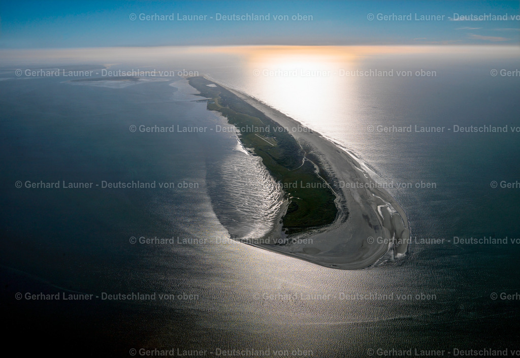 3091432 | Juist, Nationalpark Niedersächsisches Wattenmeer