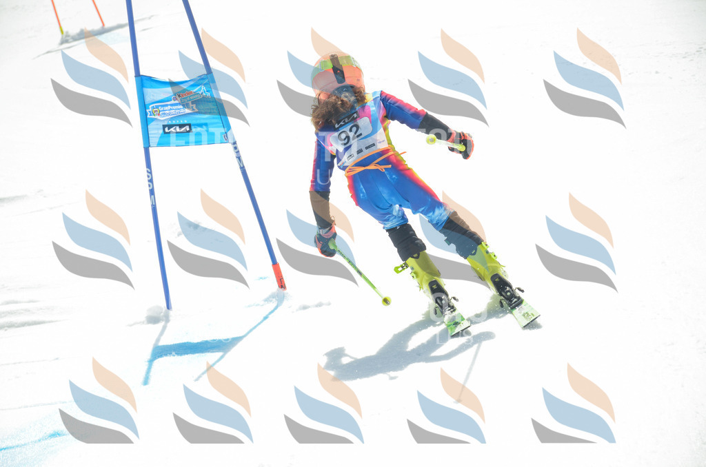 _ELE5691 | holidayphoto