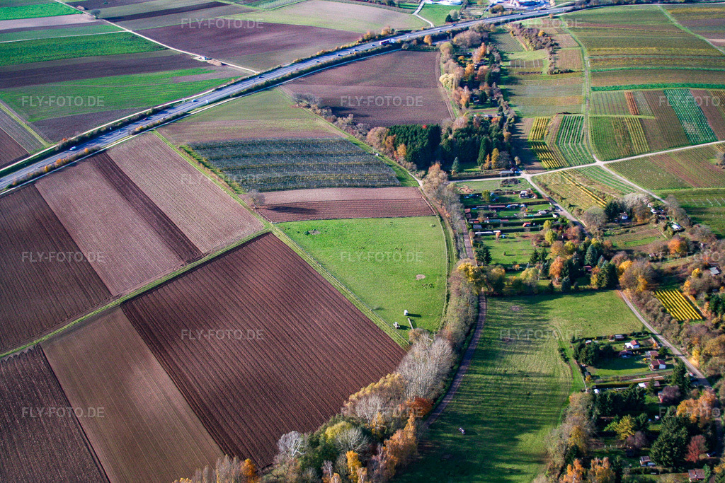 Luftbild: Weide in Rohrbach im Bundesland Rheinland-Pfalz in Deutschland. Foto: IMG_14511.jpg vom 08.11.2008 durch Werner Riehm/FLY-FOTO.de