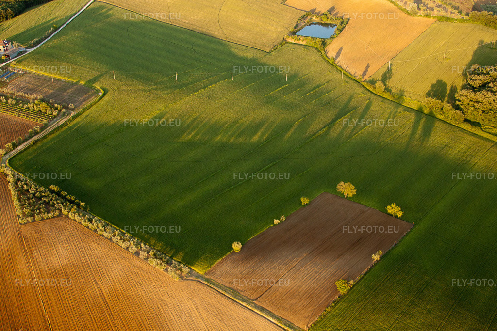 Vue aérienne: Vue de la ville à Montagnano dans le département Toscane, Italie – .Photo: IMG_28004.jpg prise le 30/05/2010 par Werner Riehm/FLY-FOTO.eu – Résolution de l'original: 4752 x 3168 px