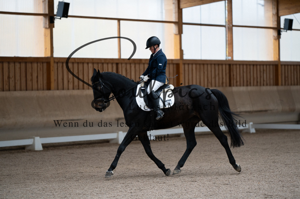 A7V02217 | Pferdefotograf