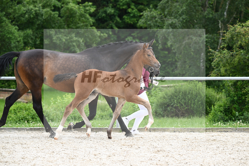 Conthalou x Catoki_HF_Lanzinner_20240855 | hf-fotografie - Realisiert mit Pictrs.com