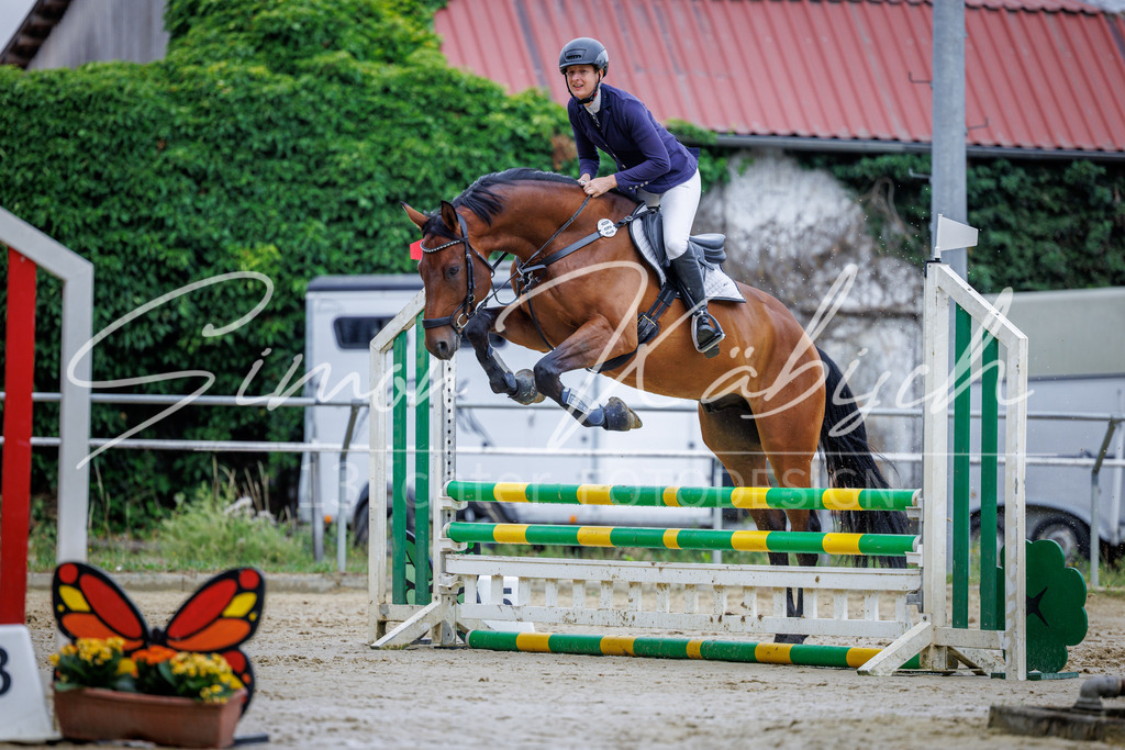 20260705-_3LI3688 | Tierfotografie Pferde, Hunde, Katzen, Haustiere.
Turnierfotografie Reitturniere, Reiten, Springreiten, Dressur in Hanau, dem Main-Kinzig-Kreis und dem Rhein-Main- Gebiet um Frankfurt