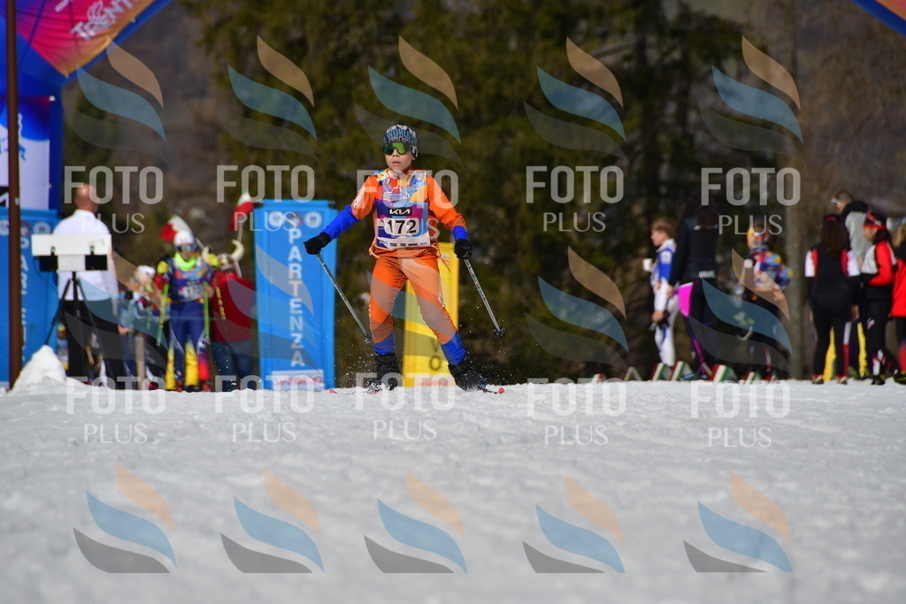 _DSC0614 | holidayphoto