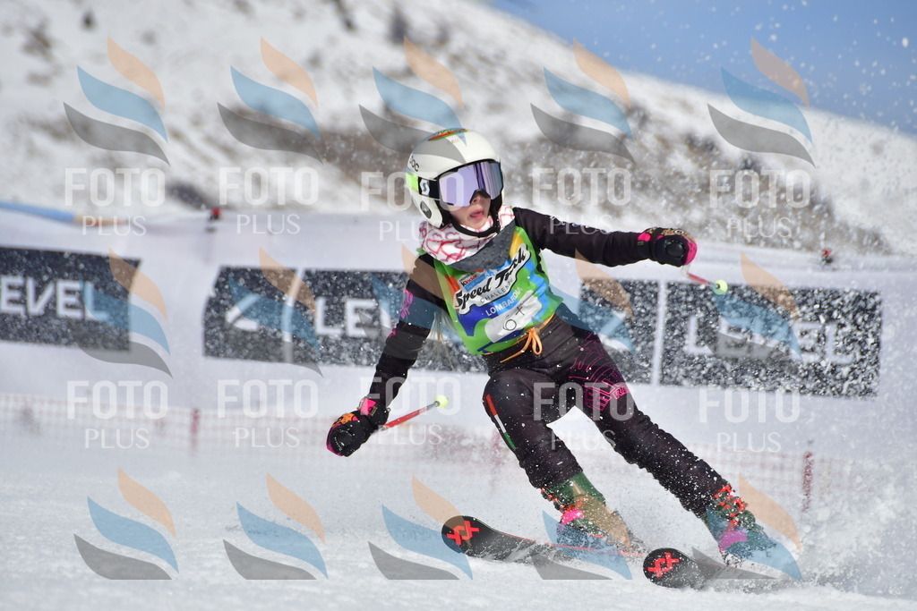 _DSC7305 | holidayphoto