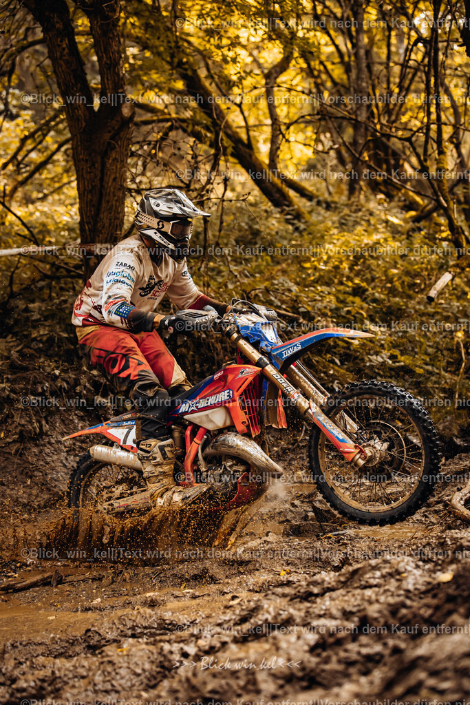 E68A6177 | blick_win_kel