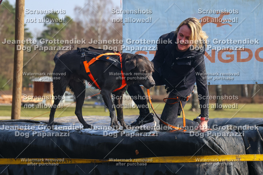 Dog Paparazzi - Strongdog North Mrz26-1948 | Dog Paparazzi Jeanette Grottendiek Fotografie & Videografie - Realisiert mit Pictrs.com