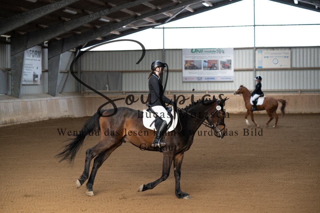 A7V05120 | Pferdefotograf