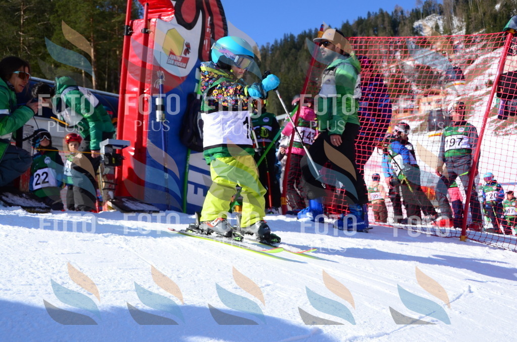 C4694 | holidayphoto