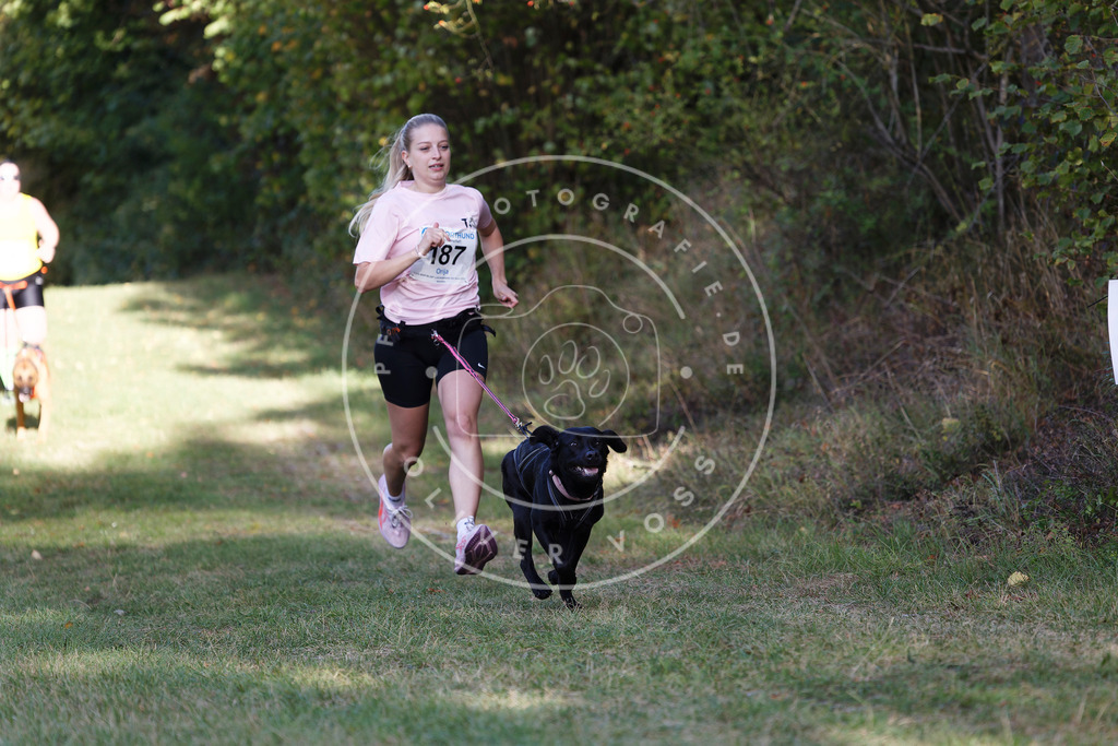 0L8A5487 | Hundefotografie, Tierfotograf, Pfotenfotografie, Fotoshooting Hund, Hunde Portrait, Hundesport, Hundeportraits, Heideshooting, Hunde, Sportfotograf, Hundefotograf, Turnierhundsport, THS,  - Realisiert mit Pictrs.com