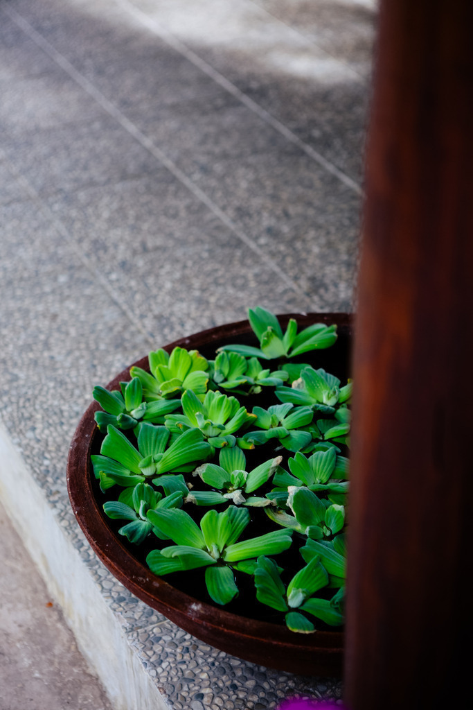 IMG_1180 | AHORN PHOTOGRAPHY - Realisiert mit Pictrs.com