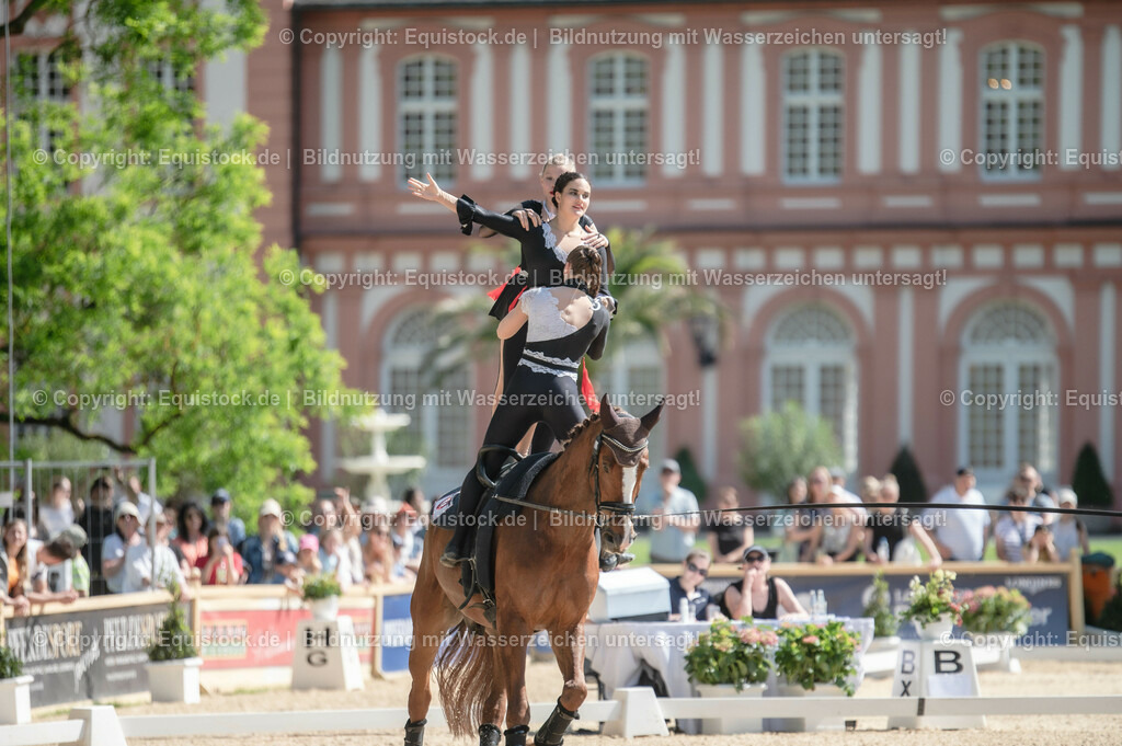 20230528_Voltigieren_NASPA_0566 | equistock