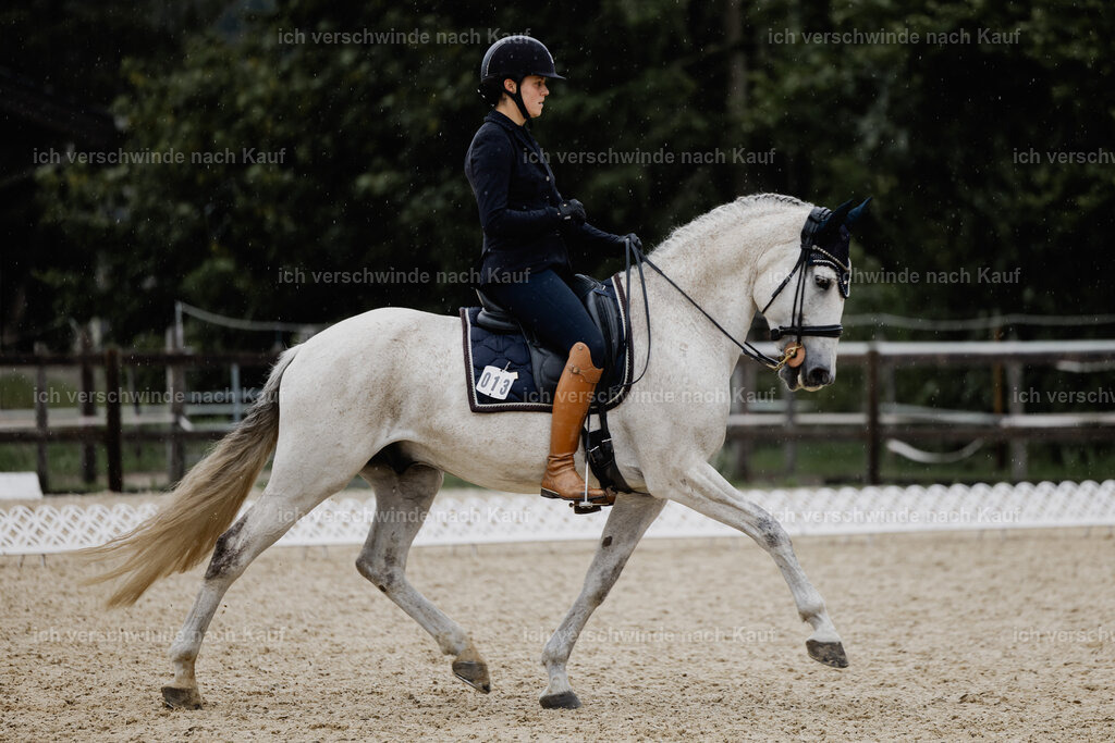 Svea13FHC2025-24617 | working equitationturnier fotograf videograf stoibphotography marixx film working equitation deutschland reitsport turnierfotografie eventfotografie equestrian events