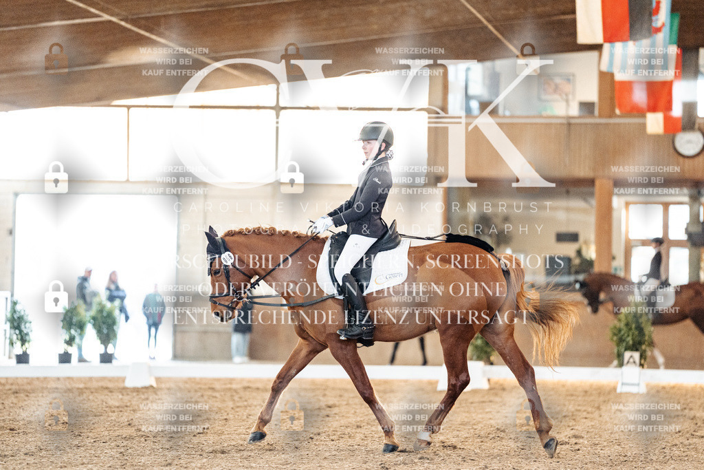 CK906632 | Turnierfotografie Pferdefotografie Trier Rheinland-Pfalz Pferdesport Reitsport Tierfotografie Sportfotografie Pferdevideo Pferdevideografie Equestrianvideography equestrianphotography  - Realisiert mit Pictrs.com