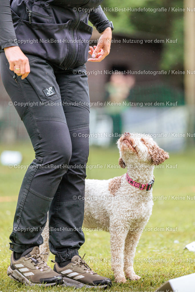 RO-Blumenthal-2026-Nickbest-Hundefotografie-3682 | Dein Hund! Dein Moment! Deine Erinnerungen! Hundefotografie in Bremen Blumenthal. Ich fange die besonderen Momente deines Vierbeiners ein – ob Indoor mit Blitzanlage oder in der freien Natur. Sicher dir dein Moment und dein Termin für eure Erinnerungen.