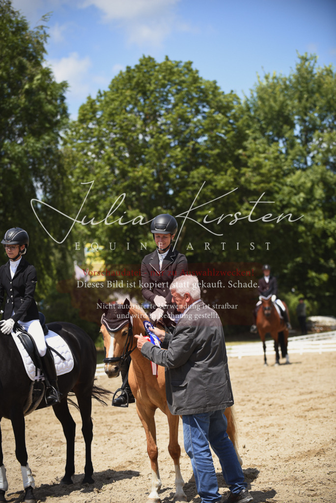 DSC_1591 | Pferde- und Turnierfotografie in Westsachsen. Pferdeportraits, Auftragszeichnungen und intuitive Kunst.
