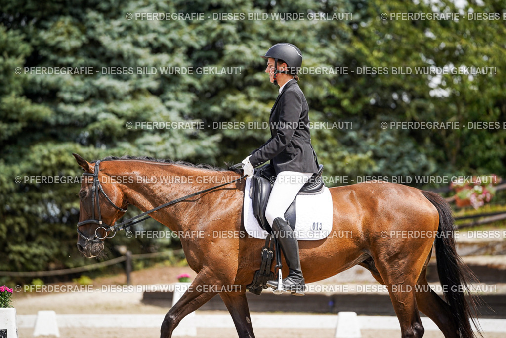 DSC02035 | Pferdegrafie