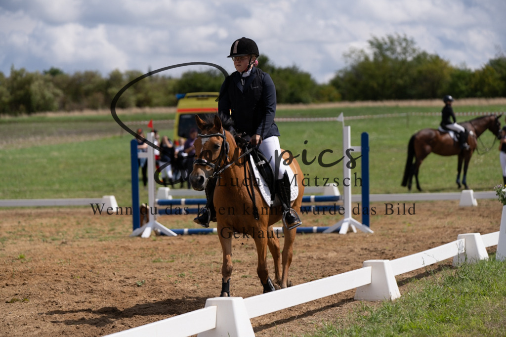 A7V03158 | Pferdefotograf