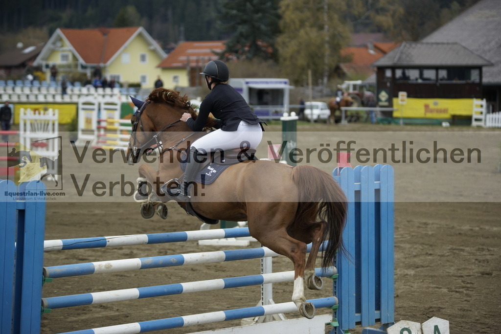 _DSC7317 | equestrian-live-com