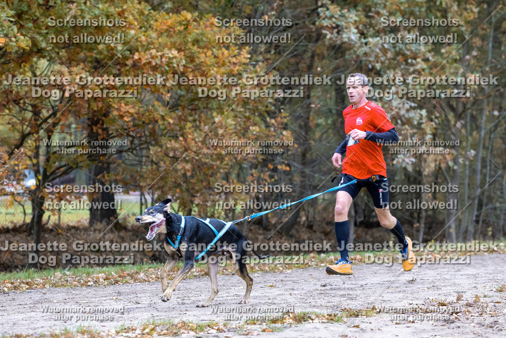 Dog Paparazzi - SD CaniX Championship 2025-383 | Dog Paparazzi Jeanette Grottendiek Fotografie & Videografie - Realisiert mit Pictrs.com