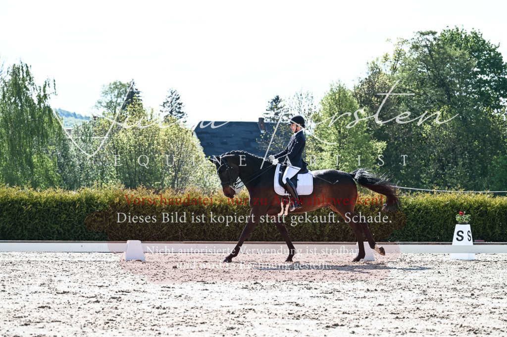 20230514_JK-Röhrsdorf-18-454 | Pferde- und Turnierfotografie in Westsachsen. Pferdeportraits, Auftragszeichnungen und intuitive Kunst.