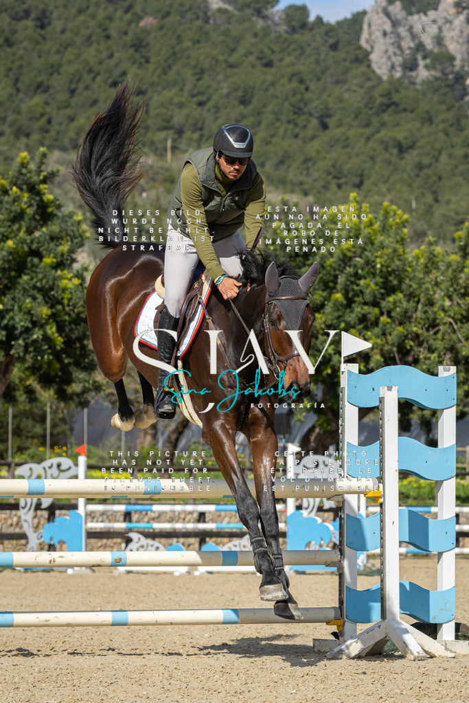 IMG_6645 | s-jay-photography - Realisiert mit Pictrs.com