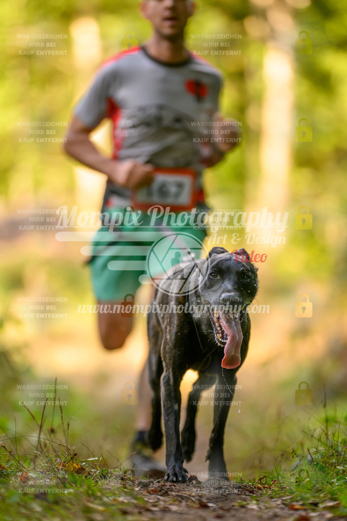 MompixPhotography_Yens2025_B3-203 | PayLife