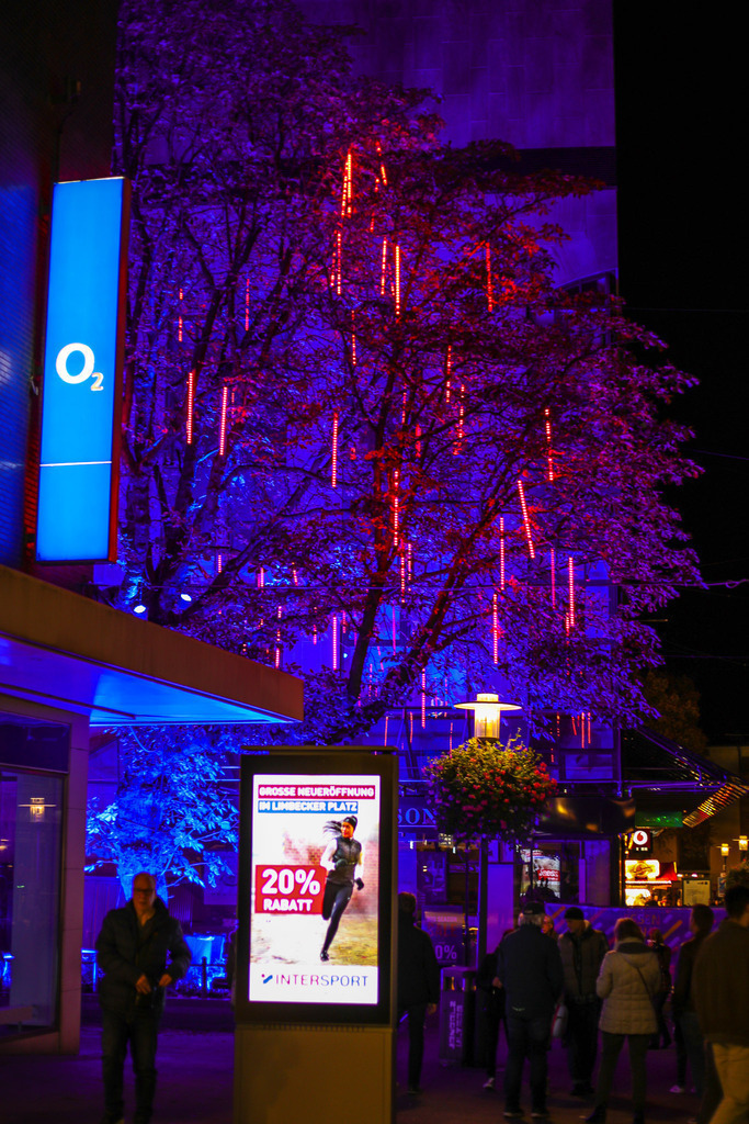 10 Baum der Wünsche_003 | Bildergalerie von Sport-Ereignissen aber auch von weiteren spannenden Dingen - nicht nur vom Niederrhein. In Anlehnung an den bekannten Spruch von Hanns Dieter Hüsch heißt das Motto: "Niederrhein ist überall".  - Realisiert mit Pictrs.com