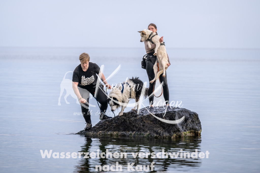 1210_ZZ90025 | kk-dogfotos