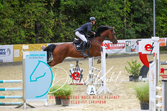 DKP40284 | Turniersportfotografie; Pferdefotografie; Dressurfotografie