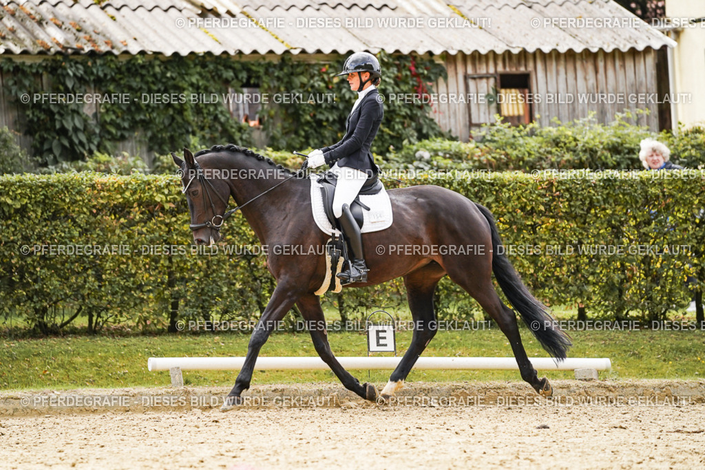 DSC00807 | Pferdegrafie