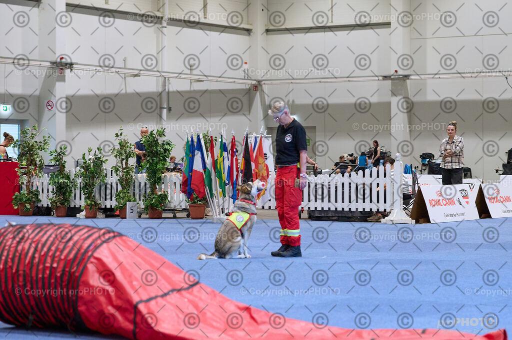 202406_ÖKV-IHA-Tulln24_DSC_3451 | proPHOTO - Realisiert mit Pictrs.com