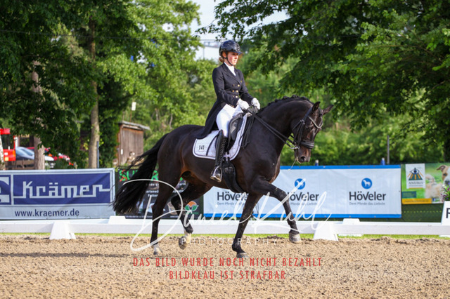 DKP41726 | Deine Turnierfotos vom Reitturnier online kaufen: Dressur, Springen & Siegerehrung. Professionelle Pferdefotografie aus dem Rheinland – als Download & Print.Alternative: Turnierfotograf für den Pferdesport: Finde deine Fotos von Dressur- und Springturnier
