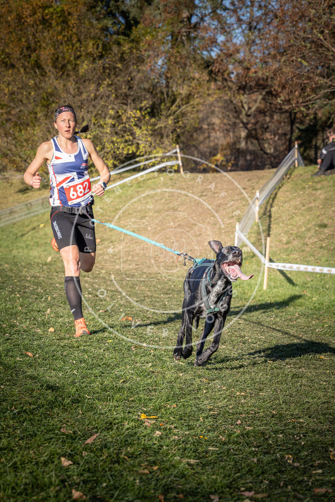 CaniXpix_0L8A9288 | Hundefotografie, Tierfotograf, Pfotenfotografie, Fotoshooting Hund, Hunde Portrait, Hundesport, Hundeportraits, Heideshooting, Hunde, Sportfotograf, Hundefotograf, Turnierhundsport, THS,  - Realisiert mit Pictrs.com