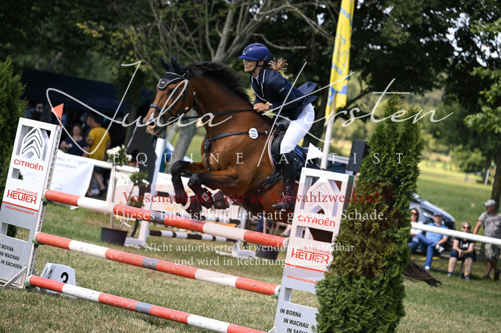 DSC_0314 | Pferde- und Turnierfotografie in Westsachsen. Pferdeportraits, Auftragszeichnungen und intuitive Kunst.