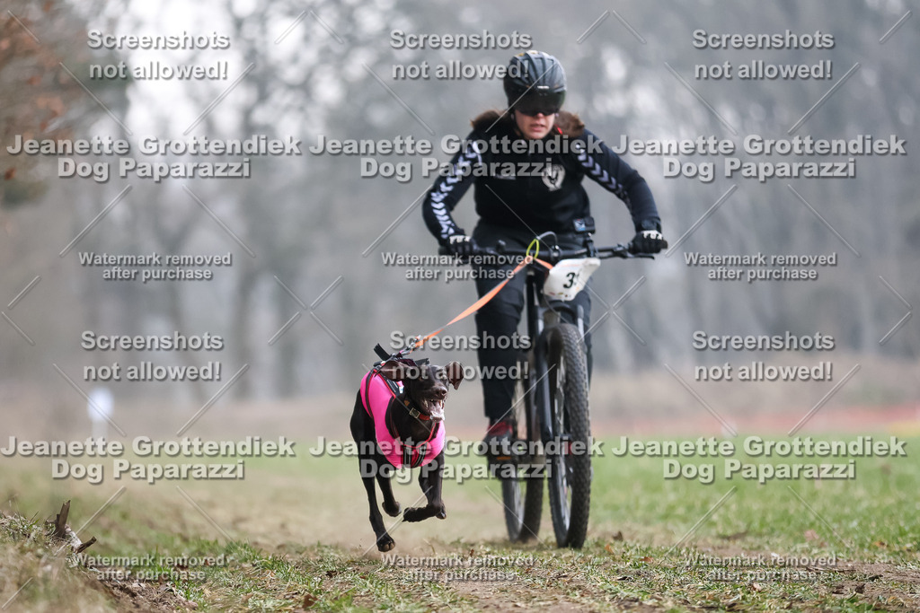 Dog Paparazzi - Plate 2026-114 | Dog Paparazzi Jeanette Grottendiek Fotografie & Videografie - Realisiert mit Pictrs.com