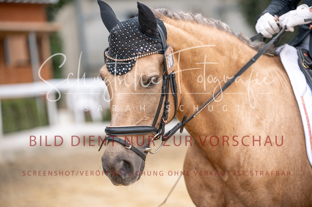 Schugtsche-Aluta25-40.DressurprfA_-383 | Schugtsche Fotografie - Realisiert mit Pictrs.com