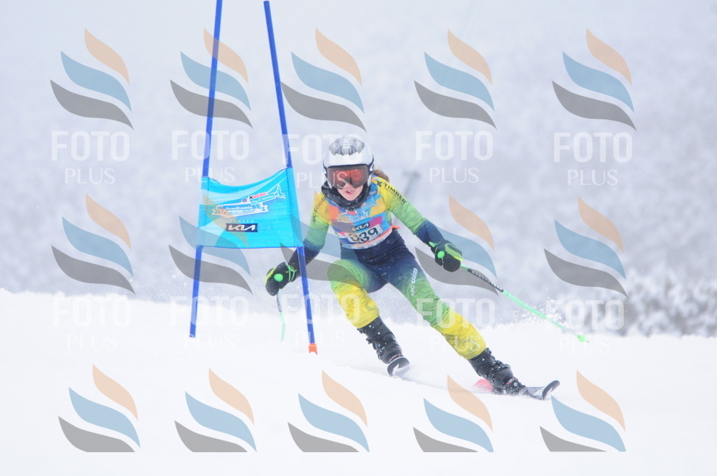 C3628 | holidayphoto