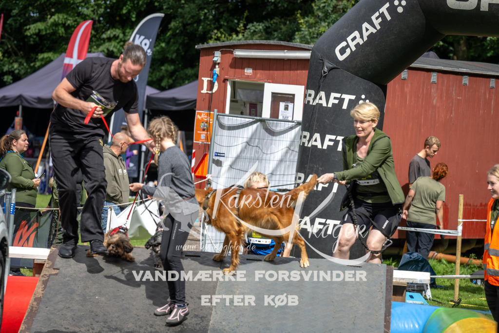 1435_ZZ91470 | kk-dogfotos