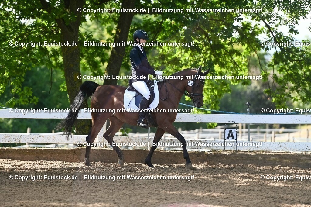20230716_04_Dressurreiterprüfung Kl.A_0118 | equistock