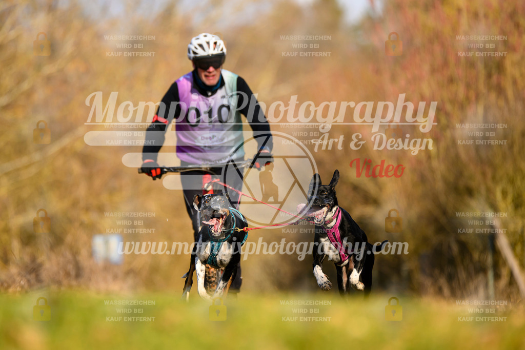 MompixPhotography_10Schwabentrail2026_SO_Scooter-1 | PayLife