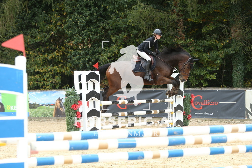 DL2Q6528 | Willkommen bei Brunnmayr - Design & Fotografie – Ihrem Spezialisten für Reitturniere und Pferdeveranstaltungen in Oberösterreich, Salzburg und Bayern! Seit über 17 Jahren sind wir leidenschaftlich dabei.