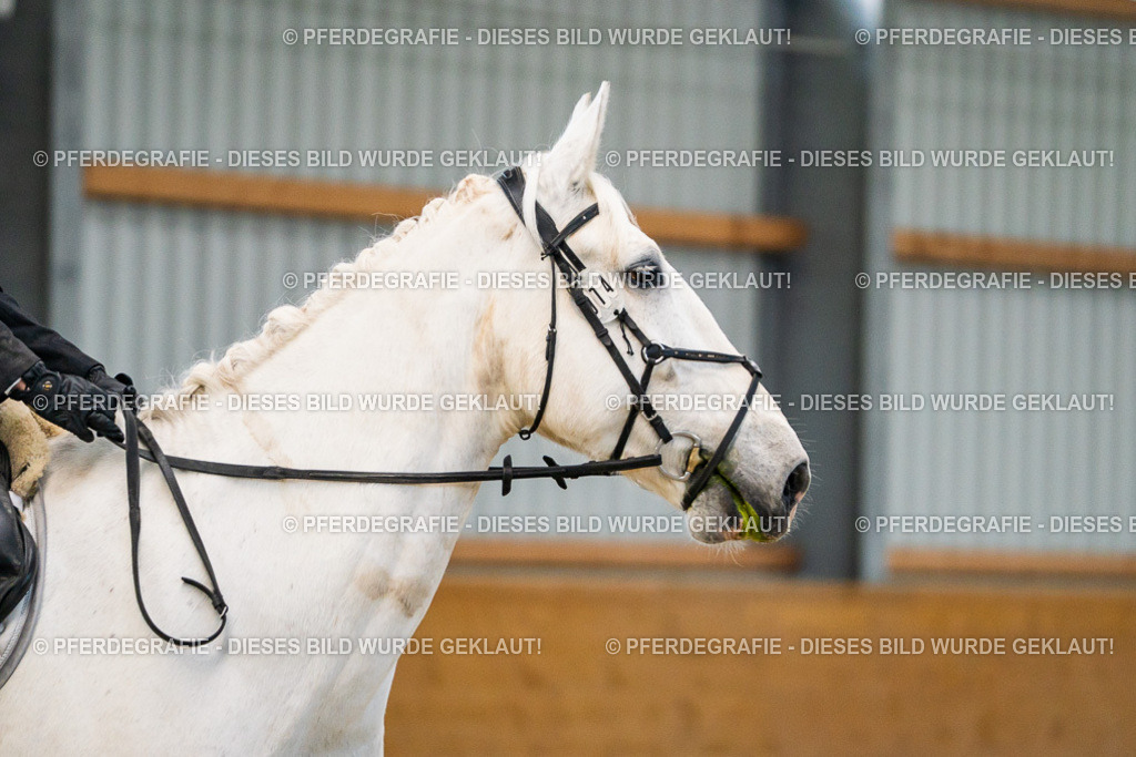 DSC00717 | Pferdegrafie