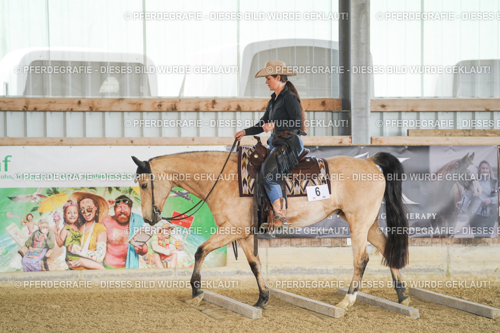 DSC02487 | Pferdegrafie