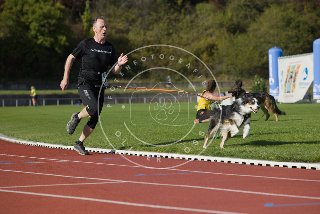 0L8A0025 | Hundefotografie, Tierfotograf, Pfotenfotografie, Fotoshooting Hund, Hunde Portrait, Hundesport, Hundeportraits, Heideshooting, Hunde, Sportfotograf, Hundefotograf, Turnierhundsport, THS,  - Realisiert mit Pictrs.com