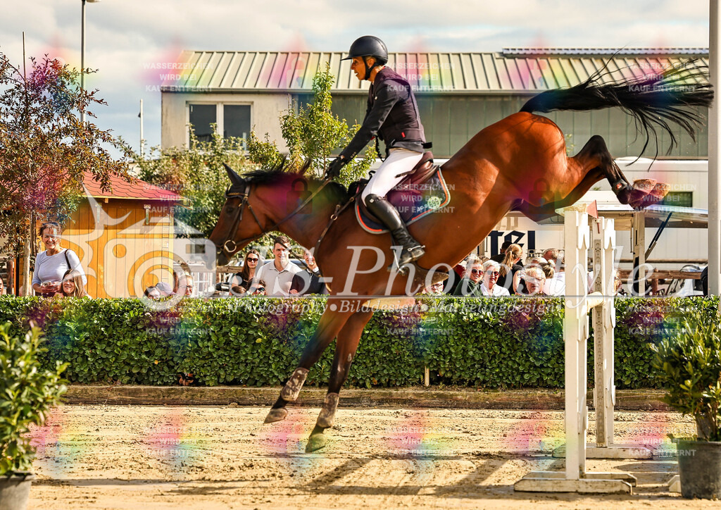 20250831_Springprfg. Kl.M  m.St. 125cm 3.WP KM LK 3-178 | JS-PHOTOSTYLE