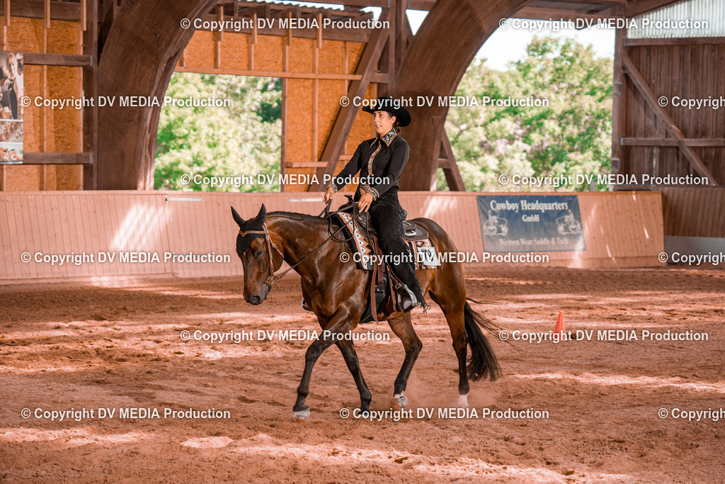 NE201082 | dv-media-shop - Realisiert mit Pictrs.com